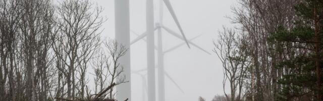 Võitlus tuulikutega Raasikul: vald viib arendaja riigikohtusse