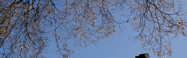 Jahedam õhumass toob pühapäevaks tuulise ja jaheda ilma