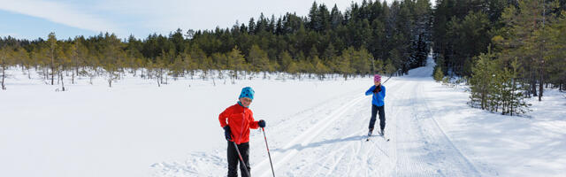 Vaatamata kevadistele ilmadele saab mõnes Eestimaa paigas endiselt suusatada