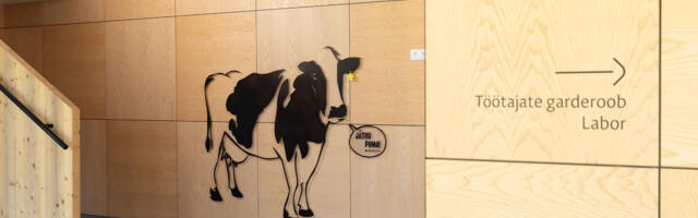 E-Piim on pankrotis. Tootmine Paide juustutehases jätkub ka menetluse ajal