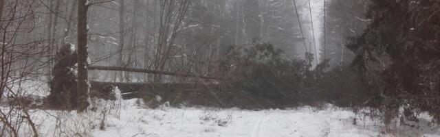 MEENUTUSGALERII: vaata, mida tuul ja tuisk saatsid Viimsis korda on 3 aastat tagasi