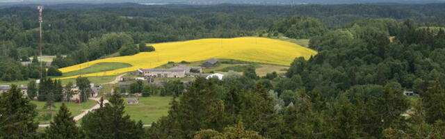 Головною темою виборів в Кагу-Есті обіцяють зробити відставання регіону.