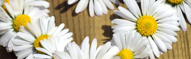 Horoskoop : põhjus, miks aprillikuu keskpaik toob head õnne armastuses