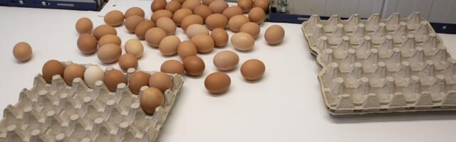 Soomet on tabanud suur munapuudus. Poeriiulid on pea tühjaks ostetud